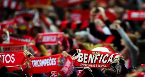 الشرطة القضائية تحقق حول آخر 163 مباراة لبنفيكا بالدوري البرتغالي